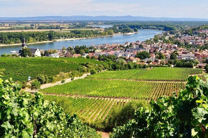 Rhine Valley Wine Tasting Tour from Frankfurt and Mainz - From Frankfurt to the Rhine in about 45 minutes