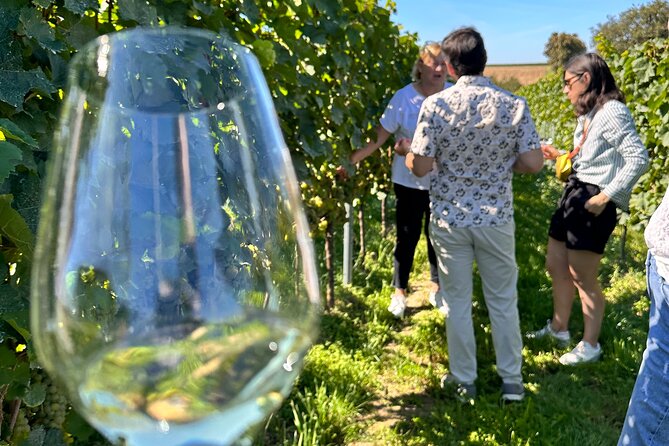 Rhine Valley Wine Tasting Tour from Frankfurt and Mainz - Lunch with wine tapas, cheese, and local bites