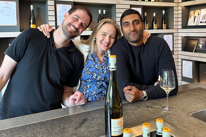 Rhine Valley Wine Tasting Tour from Frankfurt and Mainz - Comfort, group size, and the value of hotel pickup
