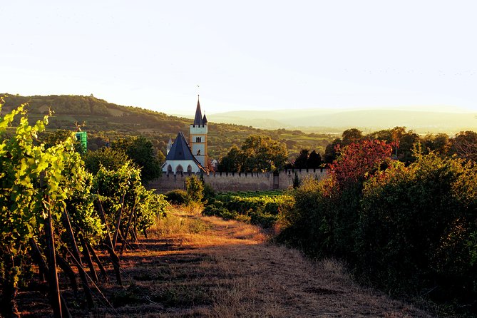Rhine Valley Wine Tasting Tour from Frankfurt and Mainz - Weather and route changes matter