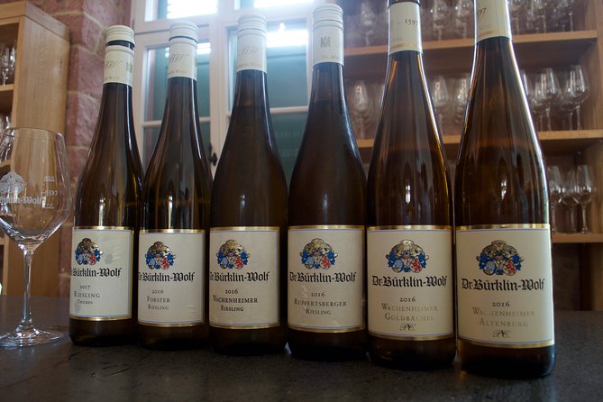 Rhine Valley Wine Tasting Tour from Frankfurt and Mainz - Historic villages and the road to Rüdesheim