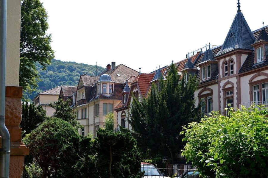 Romantic Heidelberg: Private Tour With Professional Guide - Starting in Heidelberg’s Old Town