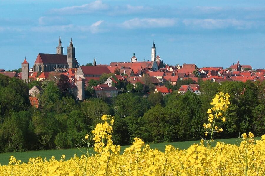 Romantic Road & Rothenburg ob der Tauber Tour from Würzburg - A very short stop in Röttingen