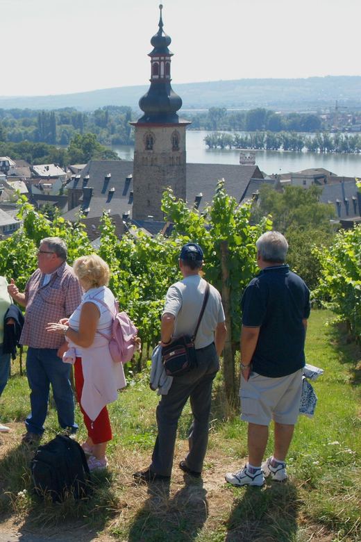 Rüdesheim am Rhein: city tour - The value of a 90-minute route