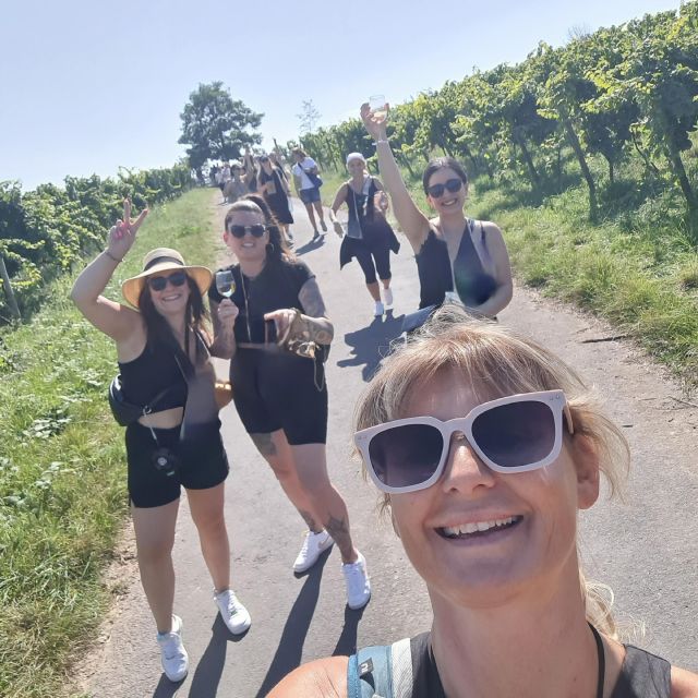 Rüdesheim am Rhein: wine hike and sights - Riding the cable car to Germania