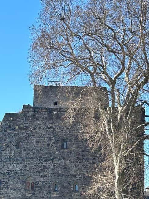 Rüdesheim: city tour with music and wine and Rüdesheim coffee - Language, Mobility, and Planning Details