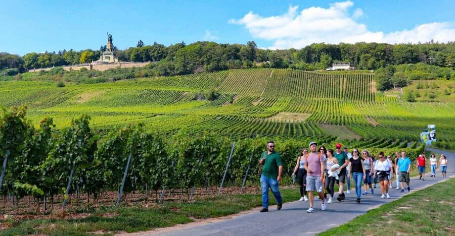 Rüdesheim - Guided wine hikes with 4wines and cable car ride - Is $70 a fair price?