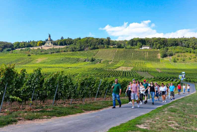 Rüdesheim - Guided wine hikes with 4wines and cable car ride - The noon start and first glass