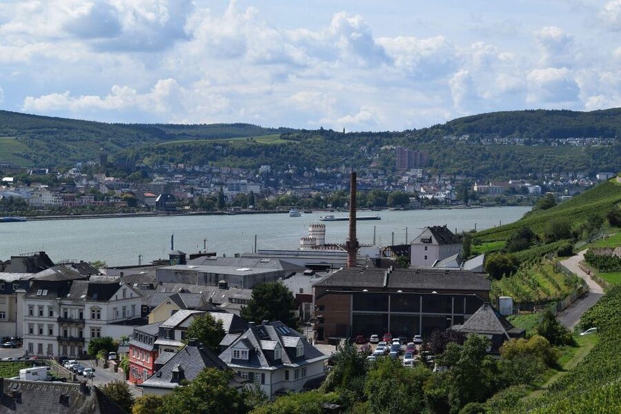 Rüdesheim: Private Guided Walking Tour - The Niederwald Monument and Germania