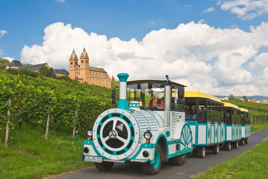Rüdesheim sightseeing tour with the Winzerexpress - The vineyard section is the best reason to go