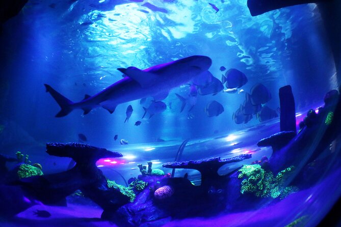 SEA LIFE Konstanz Admission Ticket - Is $27.64 a fair price?