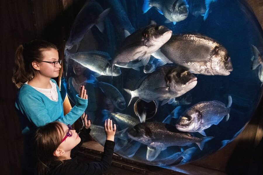 Sea Life Speyer Ticket - How much time should you allow?