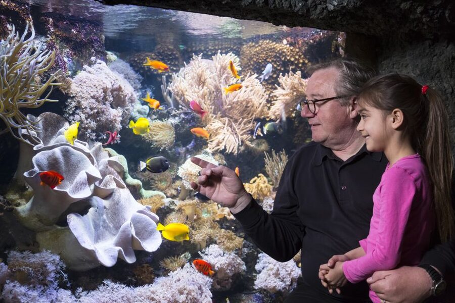 Sea Life Speyer Ticket - The shark nursery is the main learning stop