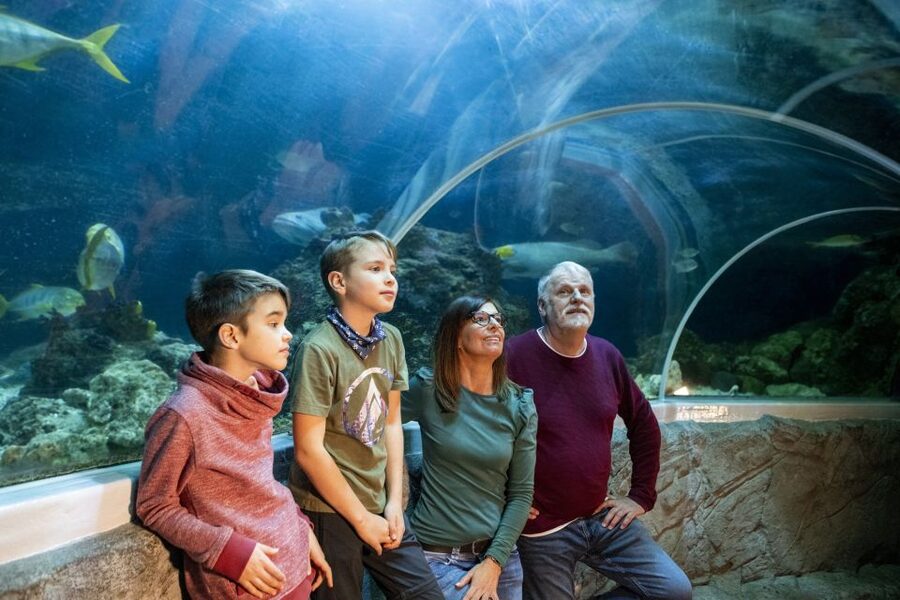 Sea Life Speyer Ticket - Marty and the tropical ocean