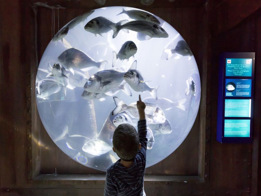 Sea Life Speyer Ticket - The new Amazon area adds a different kind of water world
