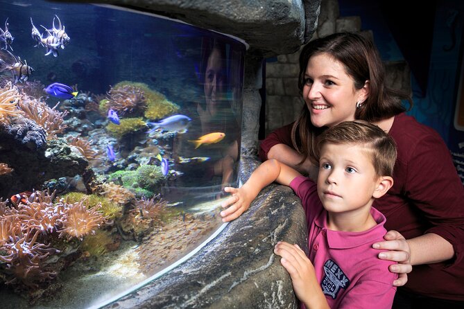 SEA LIFE Timmendorfer Strand Admission Ticket - Is $20.43 a fair price?