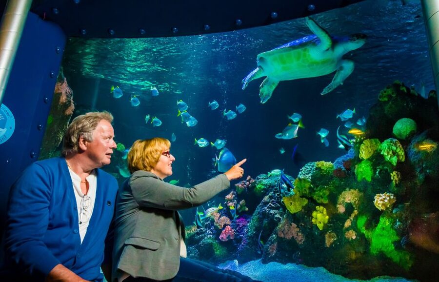 SEA LIFE Timmendorfer Strand Ticket - Key points to know before you go