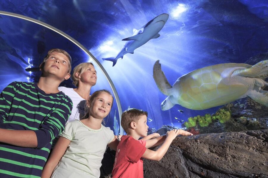 SEA LIFE Timmendorfer Strand Ticket - Tropical oceans and the overhead tunnel