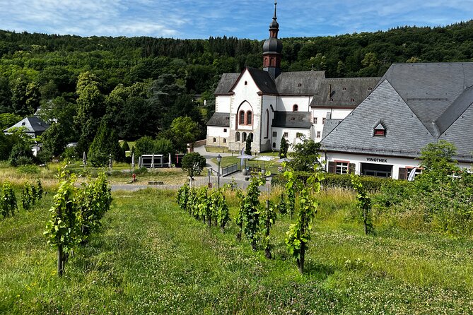 Small Group Rheingau Vineyards Tour with Castles and Abbeys - The final family estate and six-wine flight