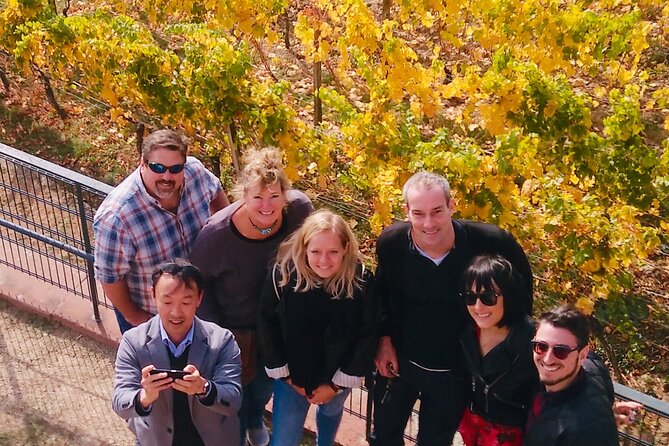 Small Group Rheingau Vineyards Tour with Castles and Abbeys - Who should book, and who should think twice