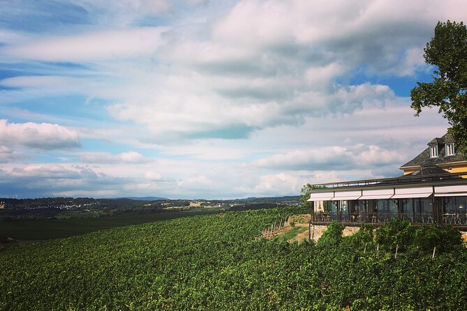 Small Group Rheingau Vineyards Tour with Castles and Abbeys - A glimpse of Johannisberg Palace