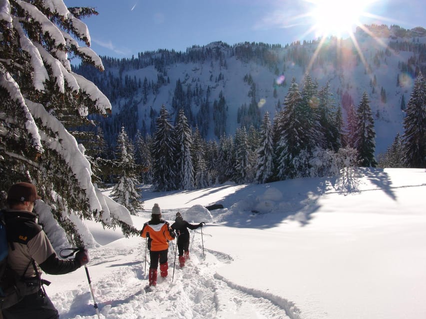 Snowshoe hike in the Allgäu - Quick points before you book