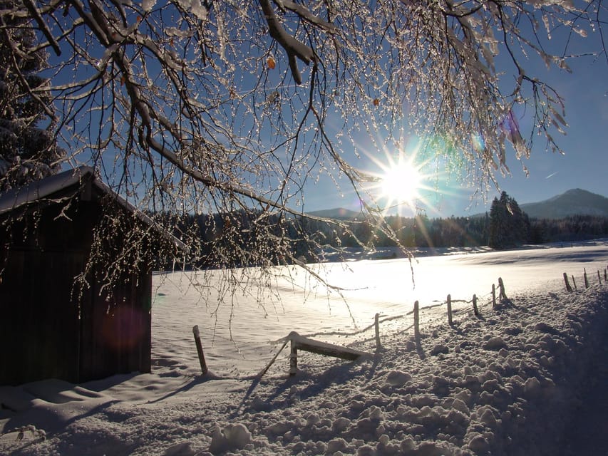 Snowshoe hike in the Allgäu - What the scenery feels like in winter