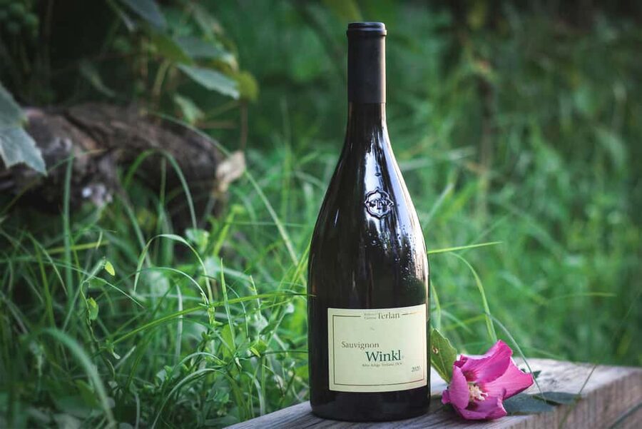 South Tyrolean specialties and wine tasting - A short route to South Tyrol through the wine glass