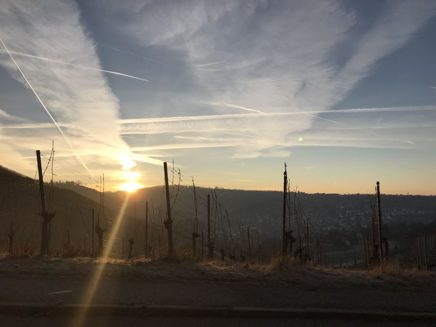 Stuttgart: Guided Glühwein Tour - Booking, cancellation, and practical planning
