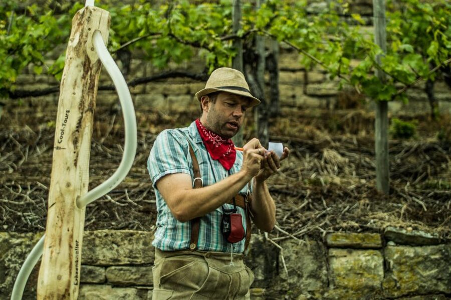 Stuttgart: Guided Vineyards Tour - Walking Stuttgart’s steep vineyard slopes