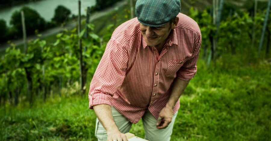 Stuttgart: Guided Vineyards Tour - Should you book the Stuttgart vineyards tour?