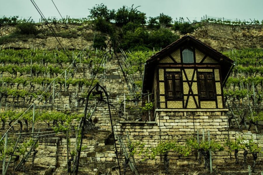 Stuttgart: Guided Vineyards Tour - How the $800 group price works