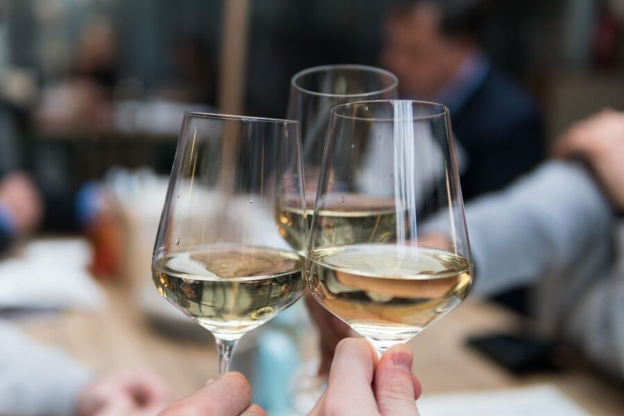 Stuttgart: Guided Vineyards Tour - Who will enjoy this Stuttgart outing