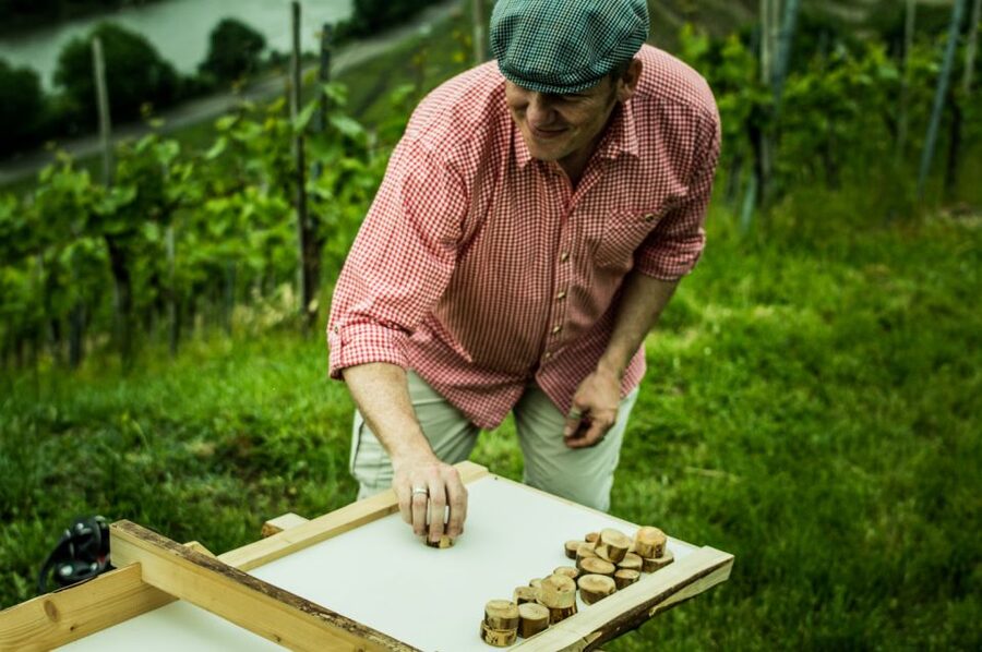 Stuttgart: Guided Vineyards Tour - Timing, language, and practical planning
