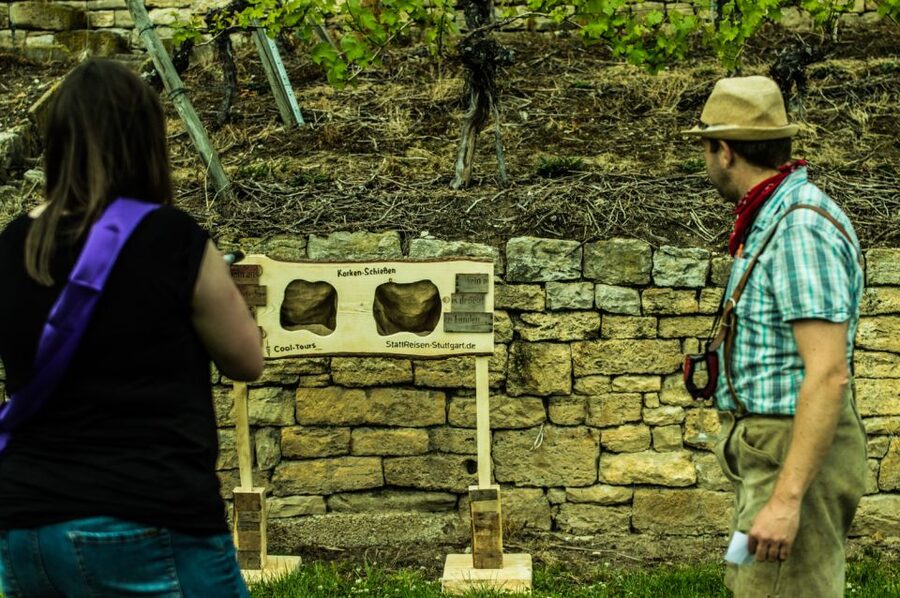 Stuttgart: Guided Vineyards Tour - How this compares with a standard city wine tasting