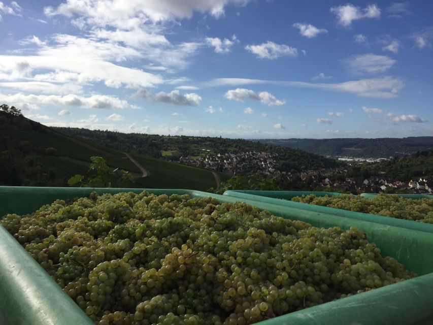 Stuttgart: Guided Wine Walk & Wine Tasting - What the Guide Adds