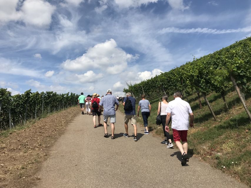 Stuttgart: Guided Wine Walk & Wine Tasting - Is $50 a Fair Price?