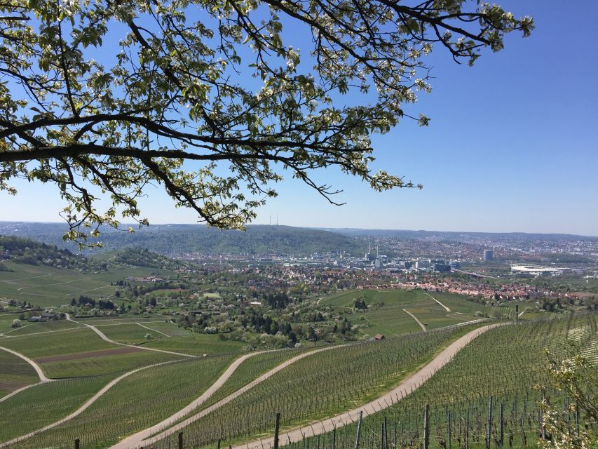 Stuttgart: Guided Wine Walk & Wine Tasting - Practical Tips Before You Go