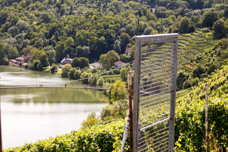 Stuttgart Nature Experience Day - FAQ
