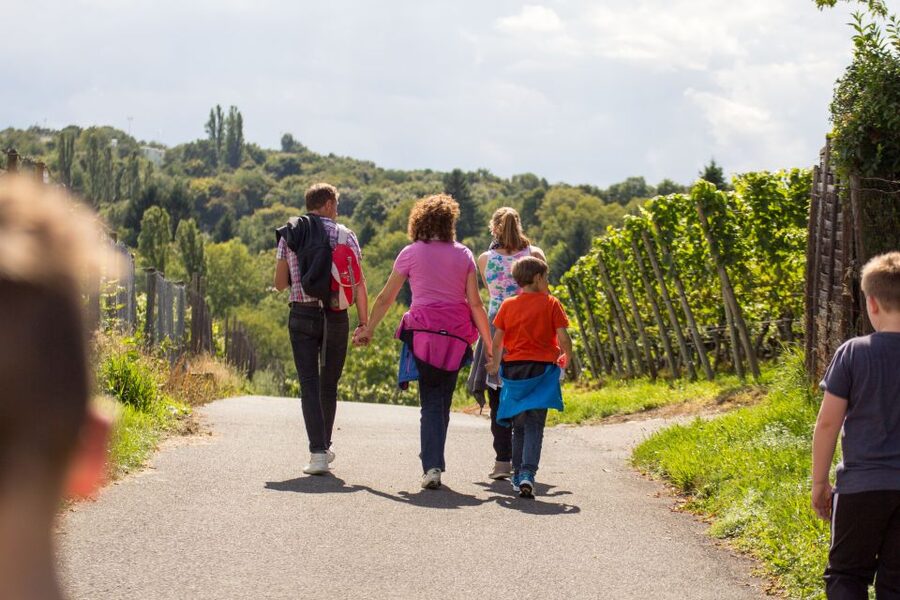 Stuttgart Nature Experience Day - Following the map through Stuttgart’s vineyards