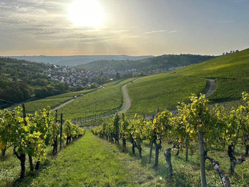 Stuttgart: Sparkling Wine Tour - What you actually taste: two sparkling wines and a Secco