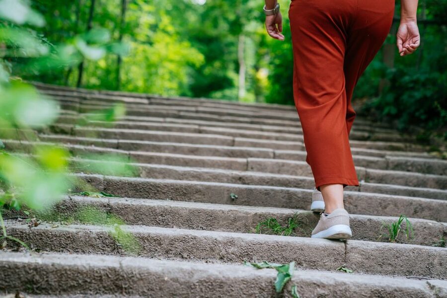 Stuttgart: Stäffele Guided Walking Tour - Stories give the stairways a reason to matter