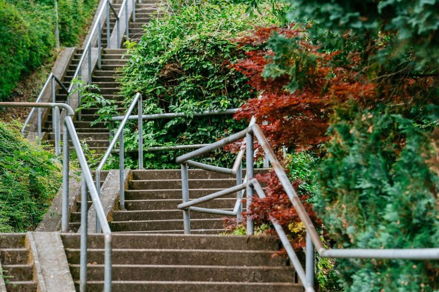 Stuttgart: Stäffele Guided Walking Tour - Choose the route that matches your interests