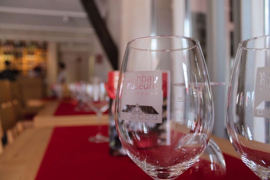 Stuttgart: Stuttgart Wine Museum Wine Tasting - Three Stuttgart wines, one compact tasting
