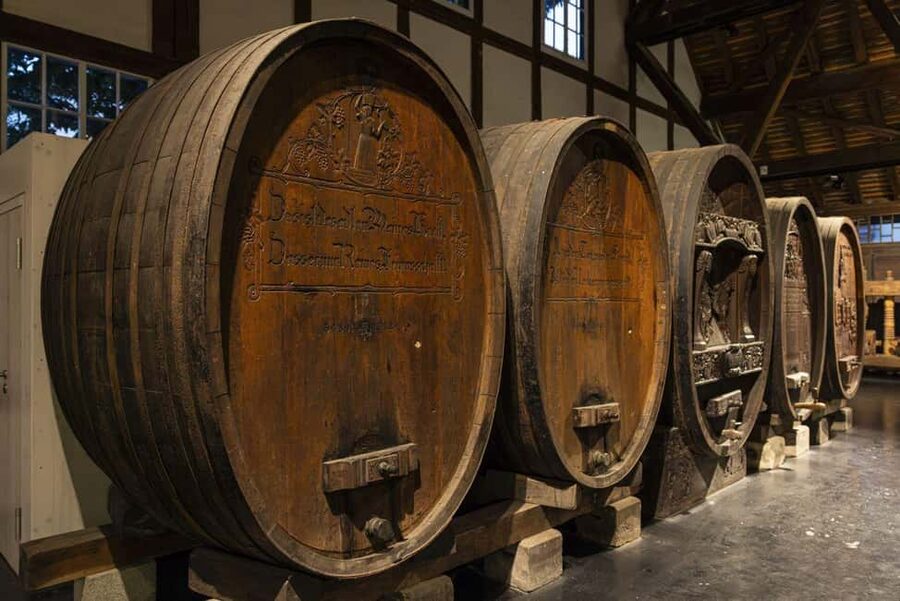 Stuttgart: Stuttgart Wine Museum Wine Tasting - Practical details that affect your evening