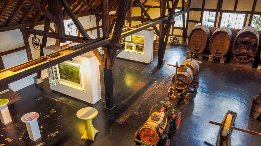 Stuttgart: Stuttgart Wine Museum Wine Tasting - Should you book the Stuttgart Wine Museum tasting?