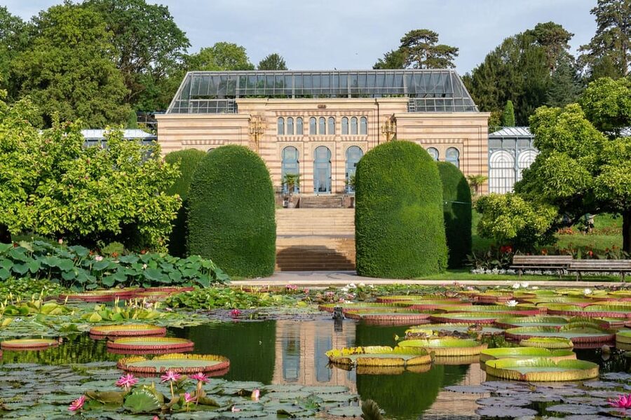 Stuttgart: Wilhelma Zoological-Botanical Garden Ticket - Why Wilhelma feels different from a regular zoo