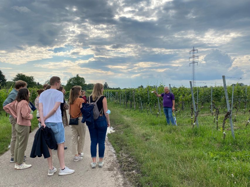 Stuttgart: Wine Tour with wines of the best winemakers - Why the Herzogenberg vineyards are worth your afternoon