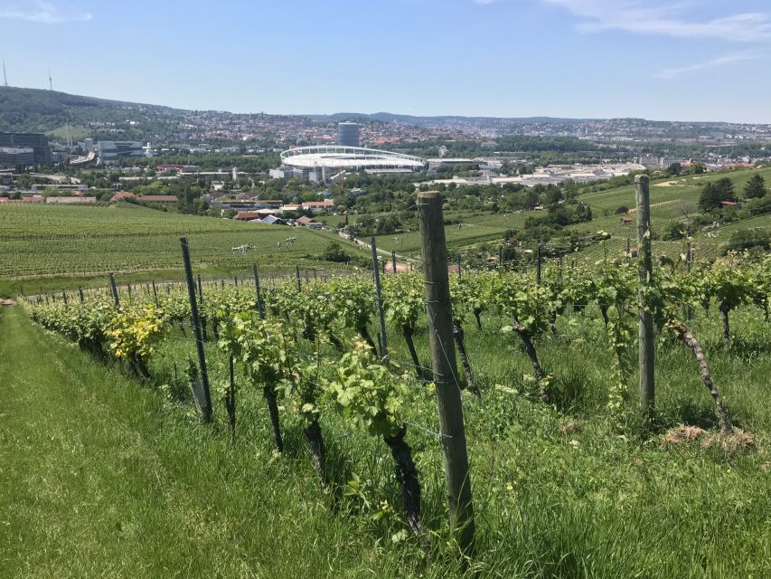 Stuttgart: Wine Tour with wines of the best winemakers - Meeting in Fellbach, just outside Stuttgart