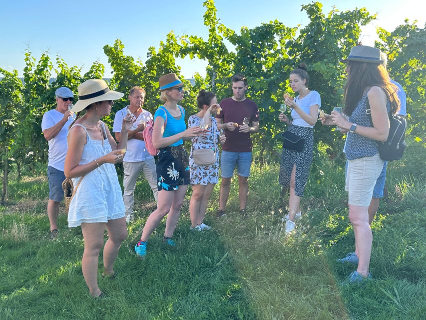 Stuttgart: Wine Tour with wines of the best winemakers - Two tasting stops and three VDP wines